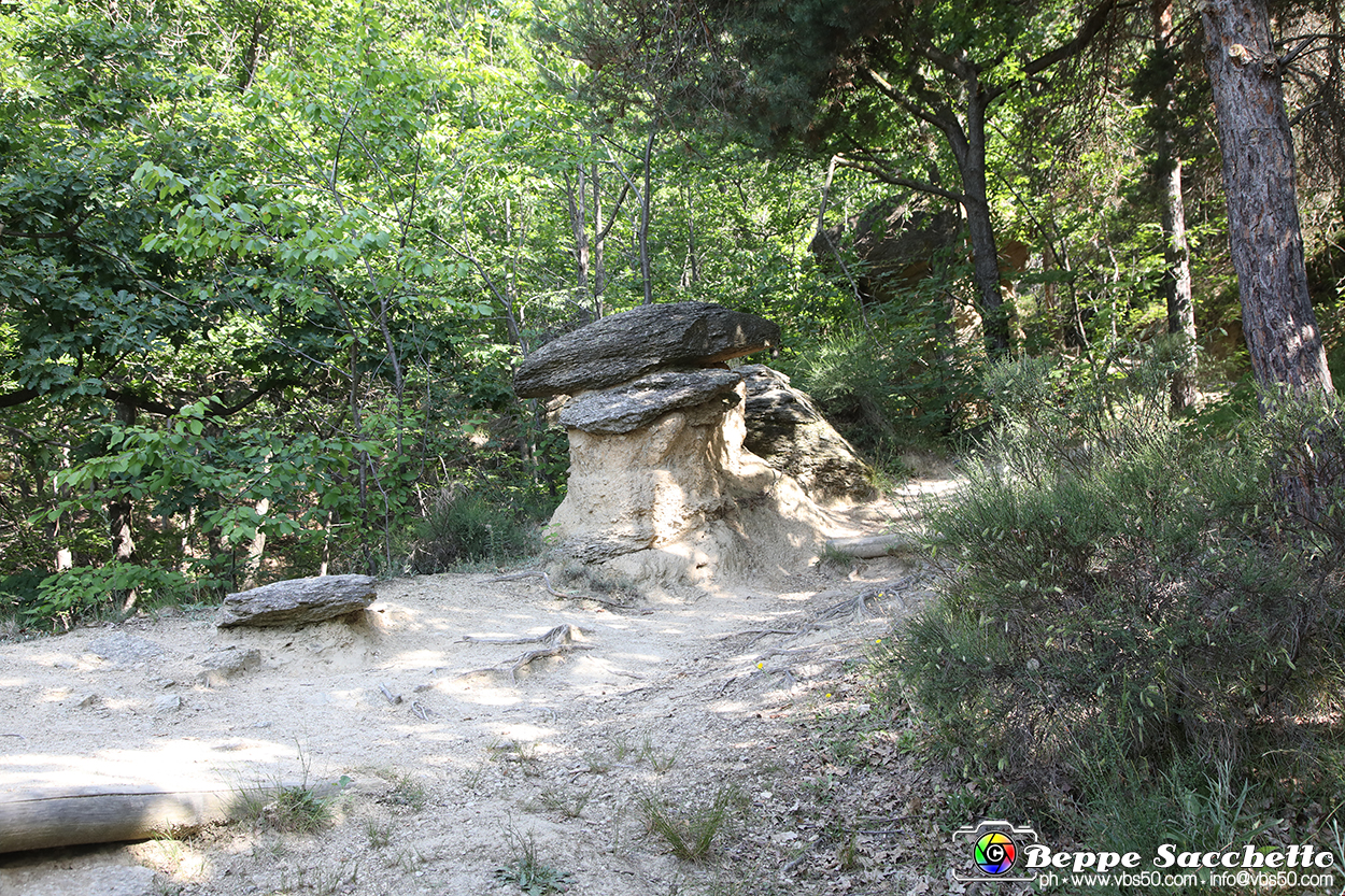 VBS_8950 - I Ciciu del Villar. Villar San Costanzo. Val Maira (Cuneo).jpg